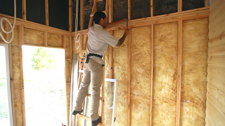 Types of Insulation We Offer in East Valley, NV